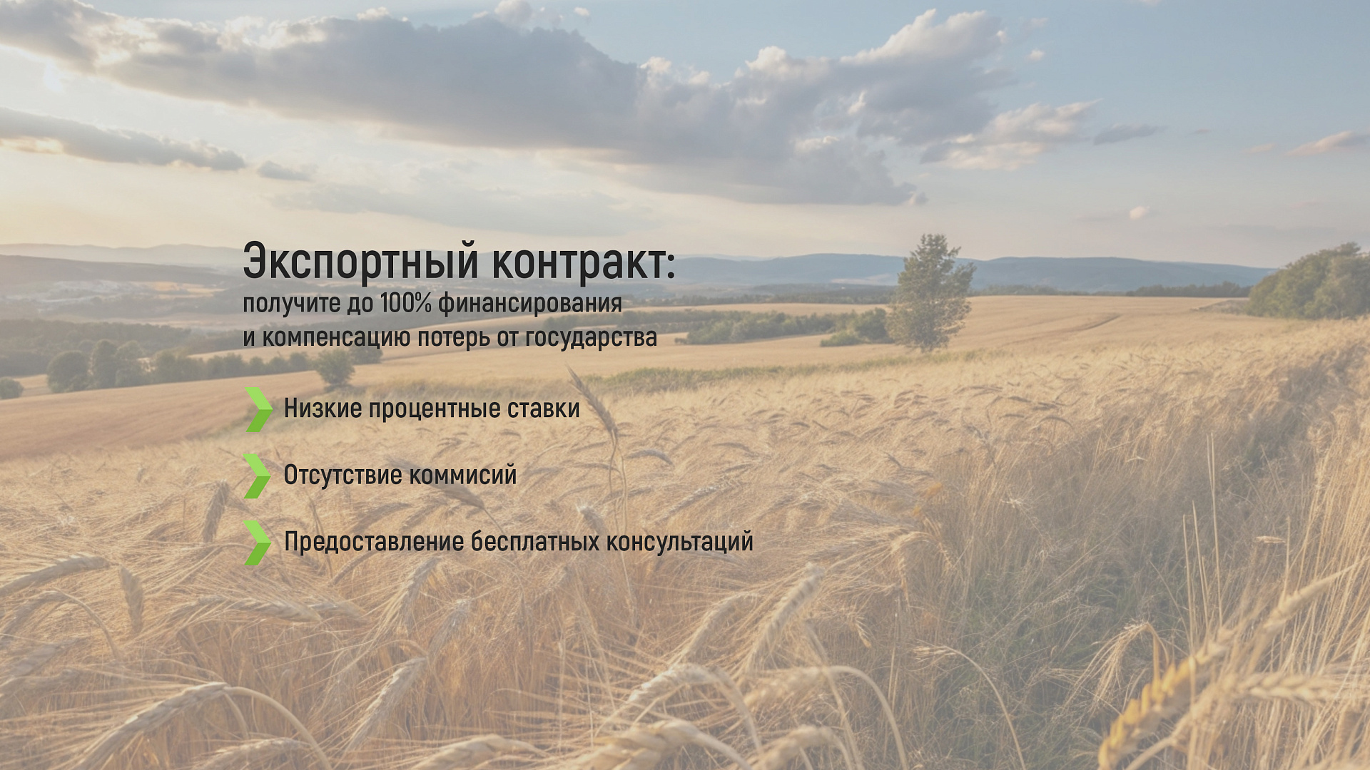Экспортный контракт: получите до 100% финансирования и компенсацию потерь от государства - фото 1